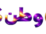 وطن کالا logo